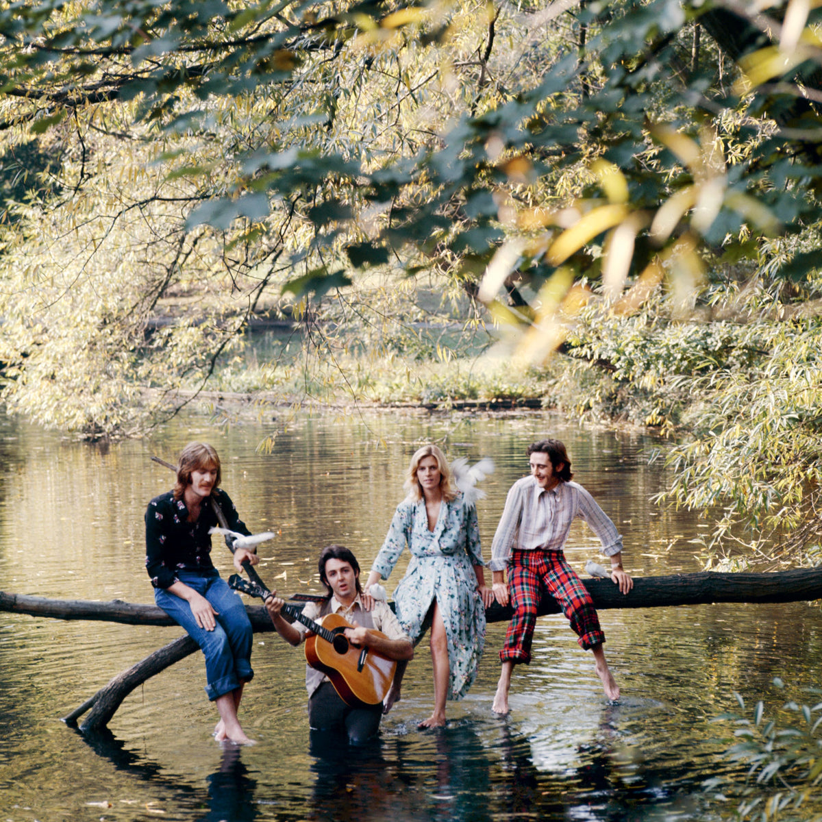 WILD LIFE