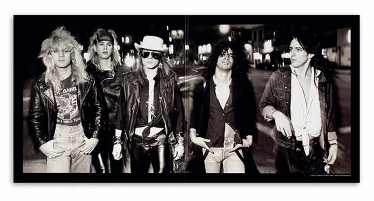APPETITE FOR DESTRUCTION