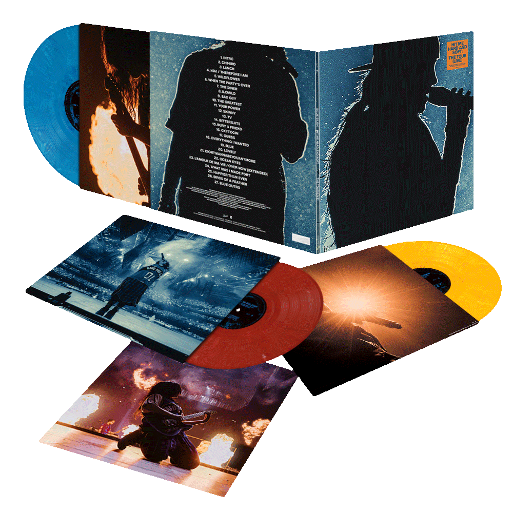 HIT ME HARD AND SOFT