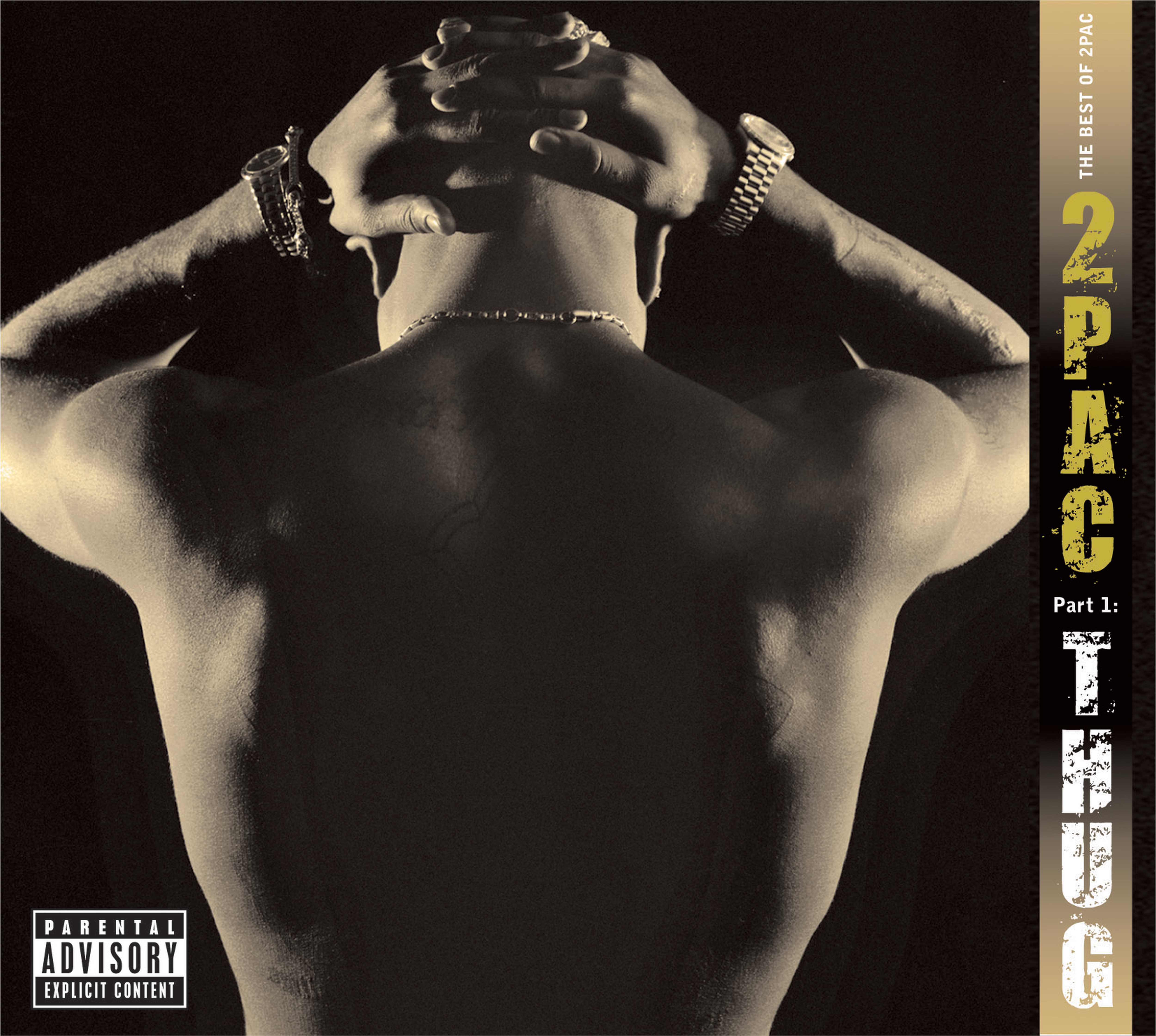 THE BEST OF 2PAC - PT. 1:THUG