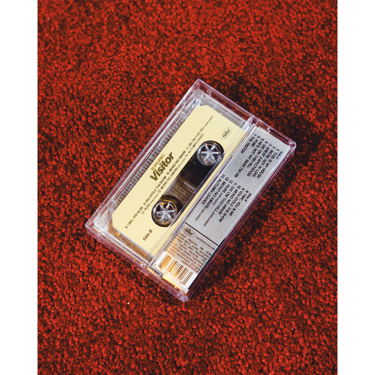 VISITOR (DELUXE UNPLUGGED)