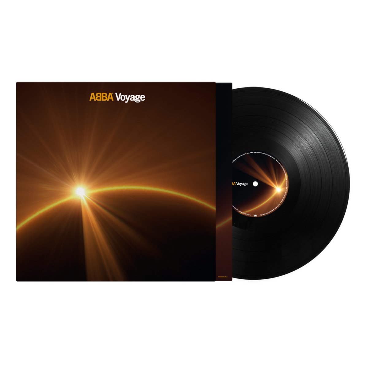 VOYAGE LTD.