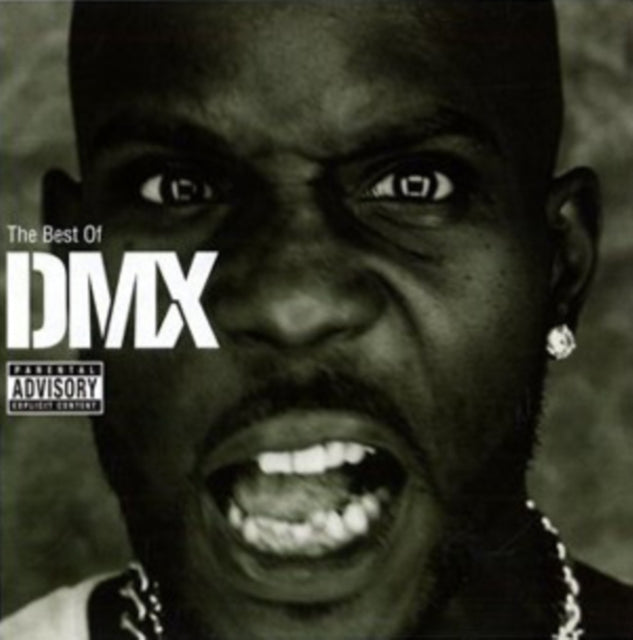 THE BEST OF DMX
