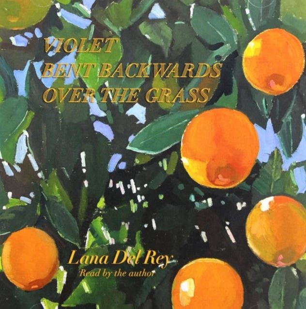 VIOLET BENT BACKWARDS OVER THE GRASS