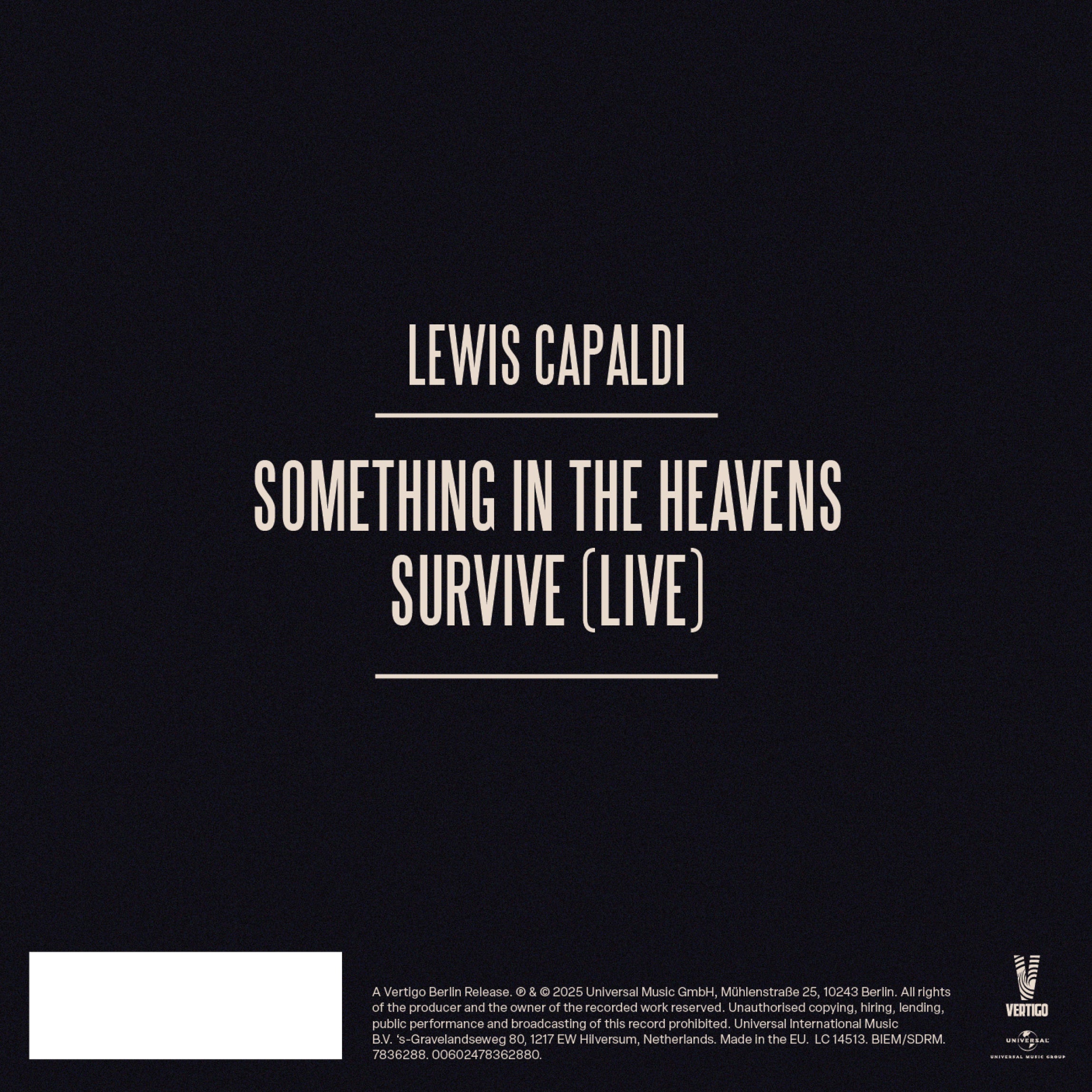 SOMETHING IN THE HEAVENS