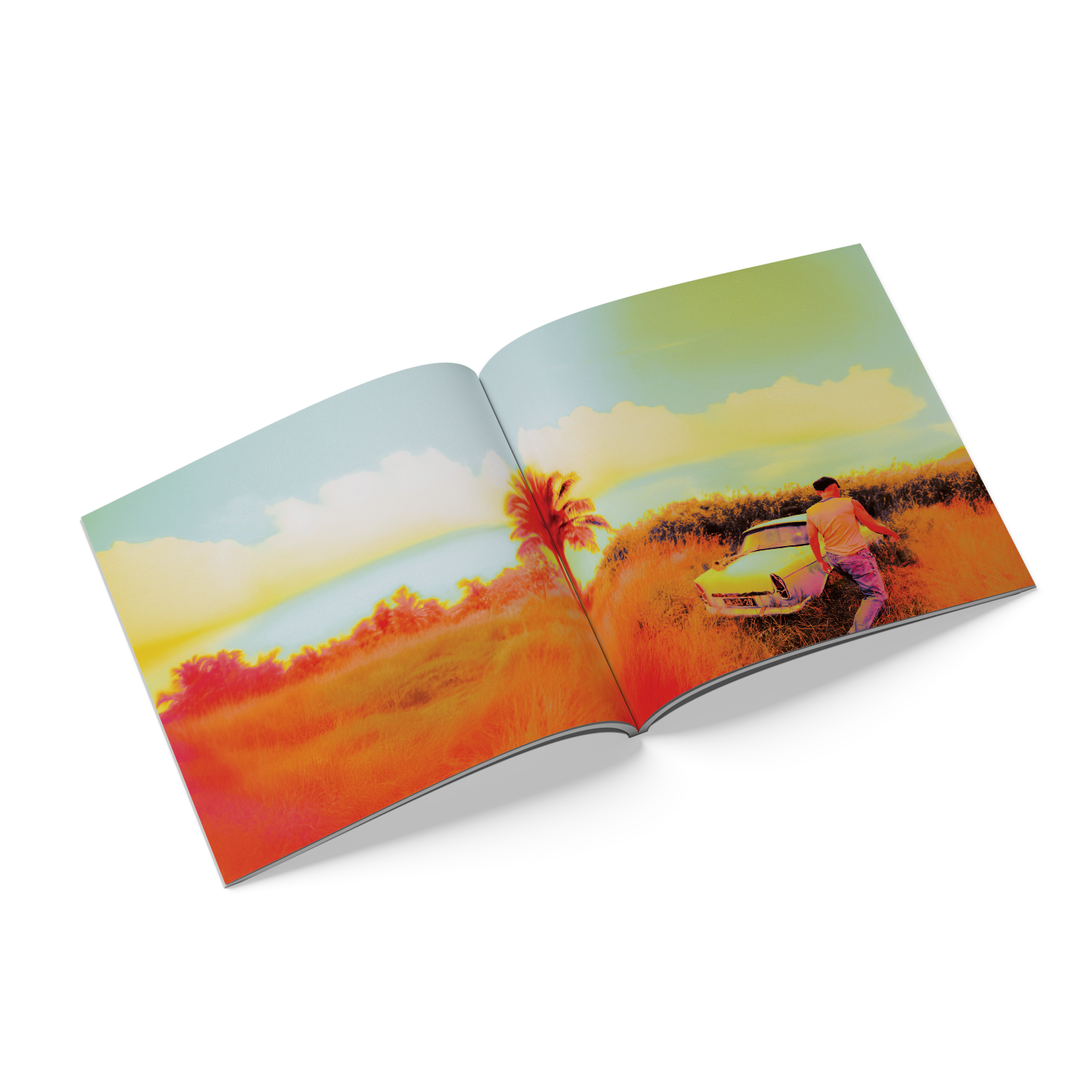 HOW DID I GET HERE? ALTERNATE