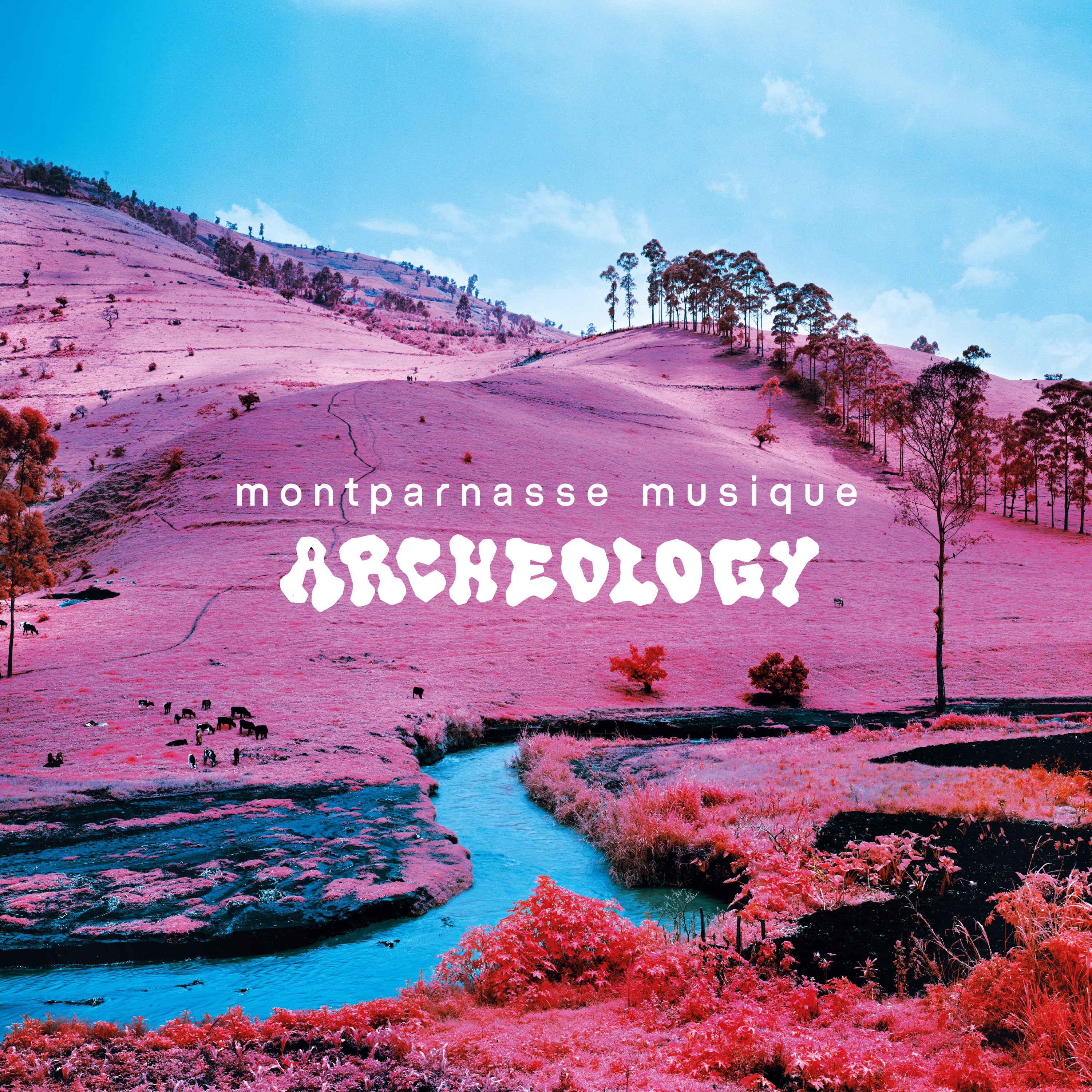 ARCHEOLOGY