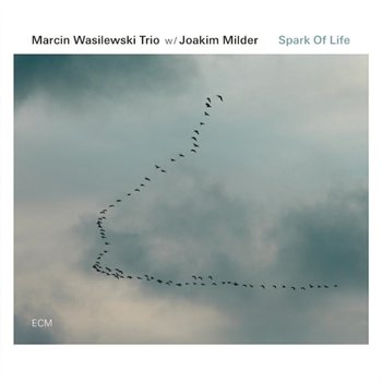 MARCIN WASILEWSKI TRIO SPARK OF LIFE (PL)