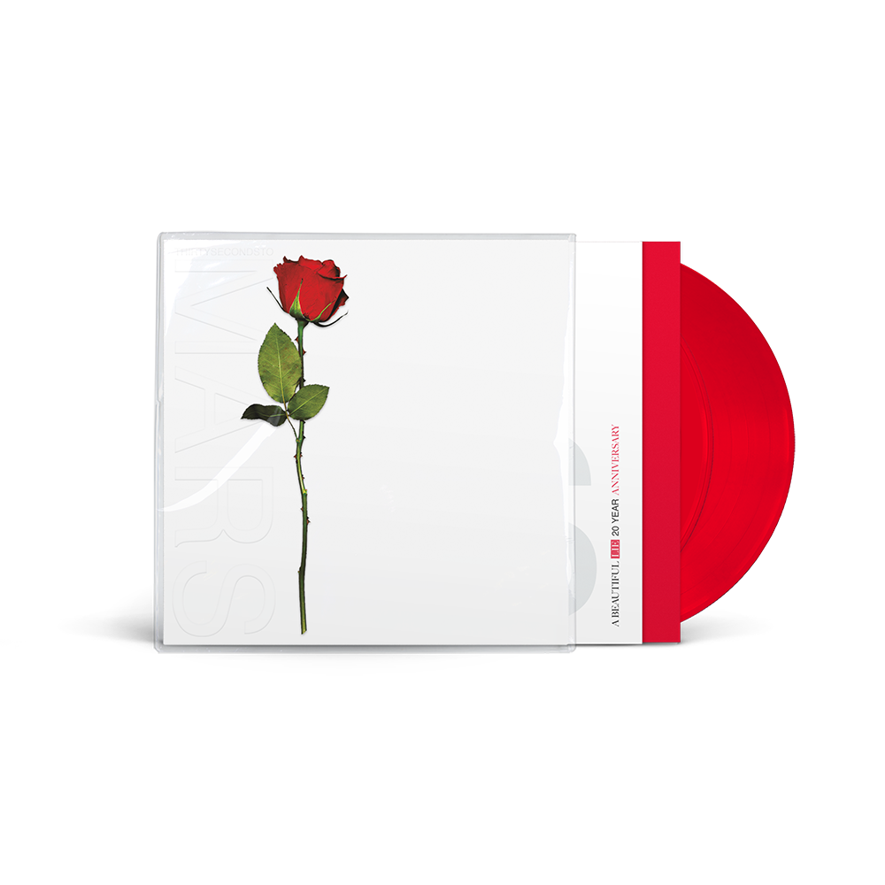 A BEAUTIFUL LIE