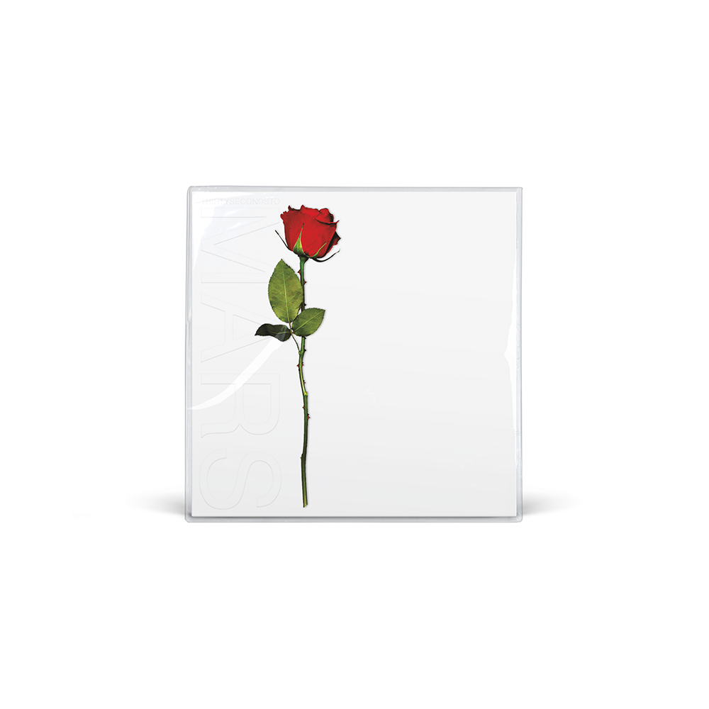 A BEAUTIFUL LIE