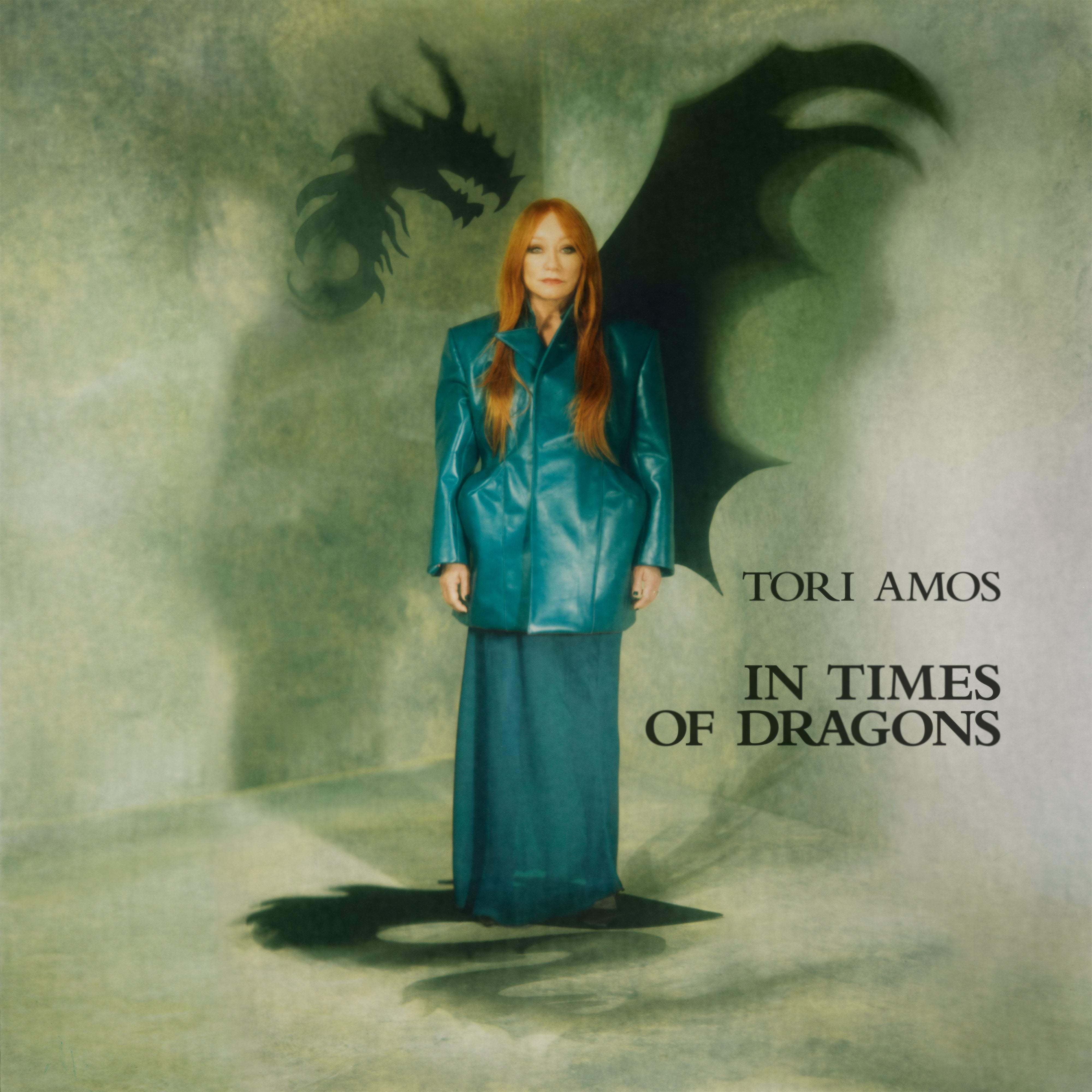 IN TIMES OF DRAGONS