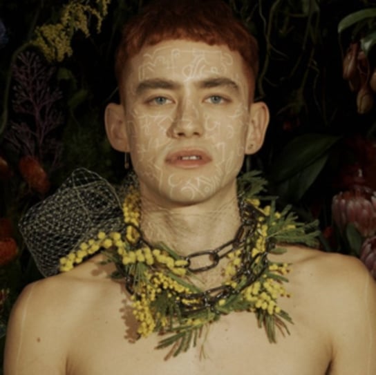 PALO SANTO (DELUXE) LTD.
