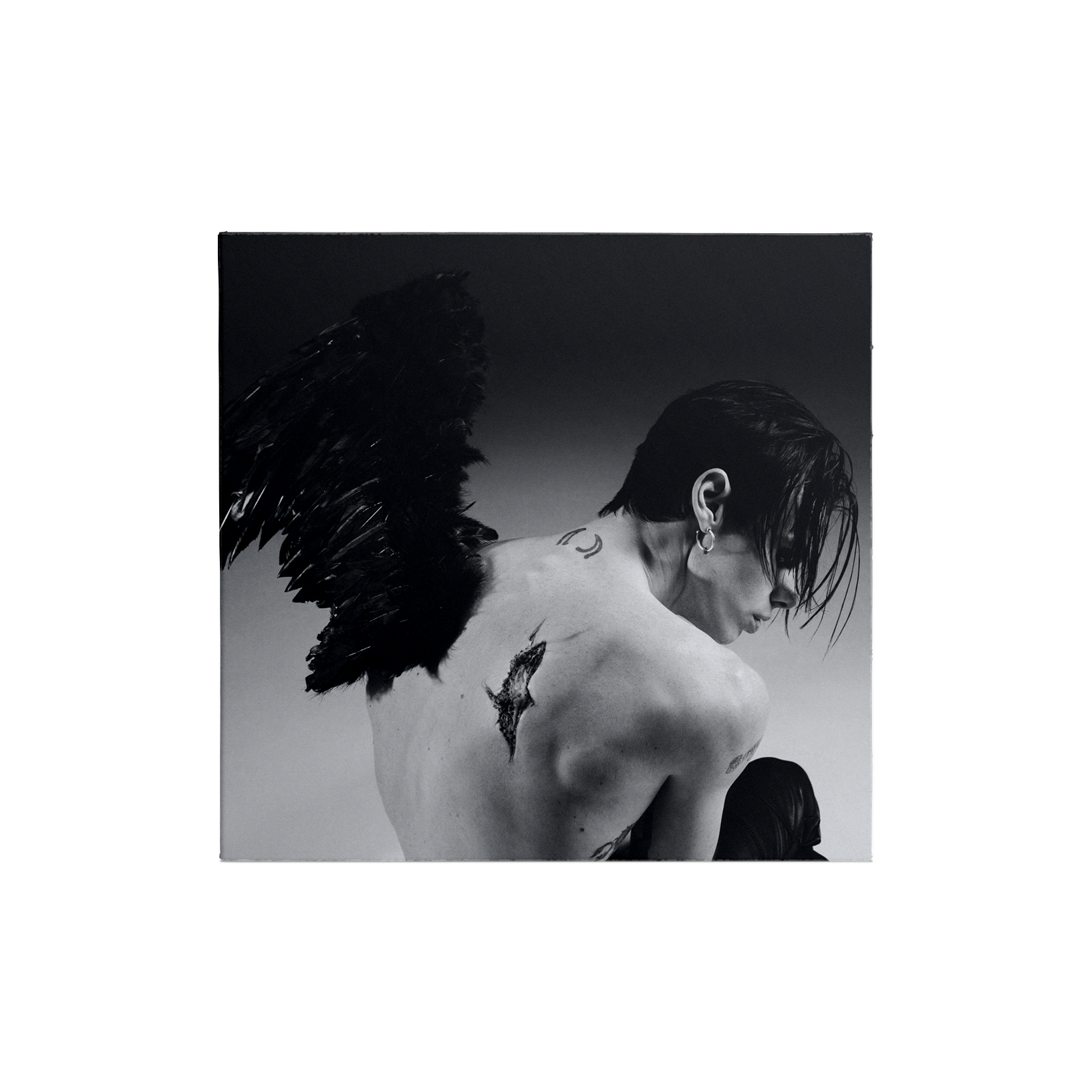 IDOLS COLLECTIBLE COLLAGE