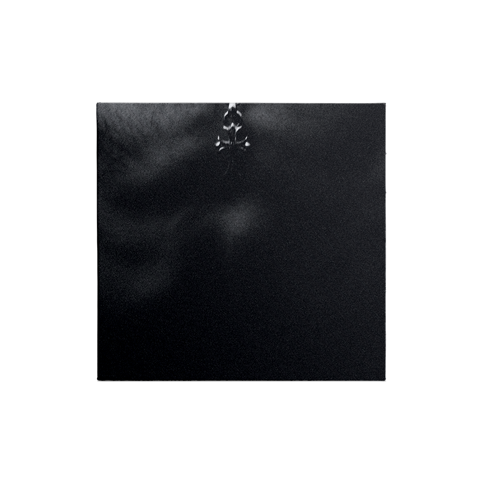 IDOLS COLLECTIBLE COLLAGE